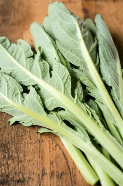 Illustration chard - Image 1