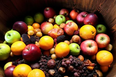 Illustration deacon - Image 1