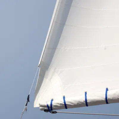 Illustration reef - Image 1