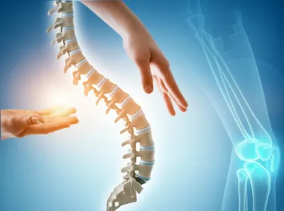 Illustration orthopedic