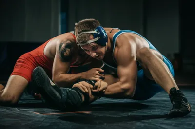 Illustration closes - Image 1