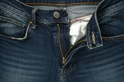 Illustration flies - Image 1