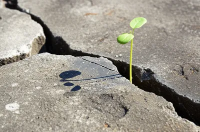 Illustration underwrote - Image 1