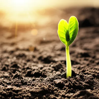 Illustration gets - Image 1