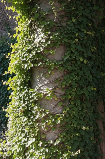 Illustration wreathing - Image 1