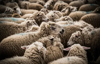 Illustration bane - Image 1