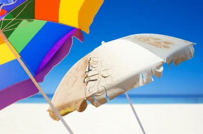 Illustration bleached - Image 1