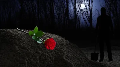 Illustration buries - Image 1