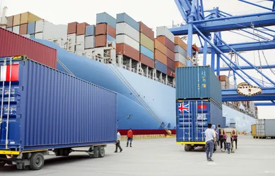 Illustration import - Image 1