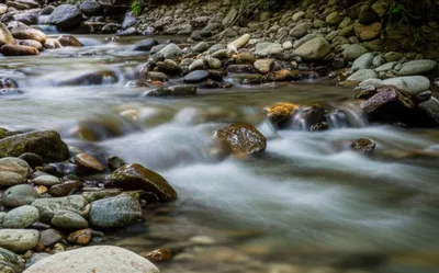 Illustration babbles - Image 1