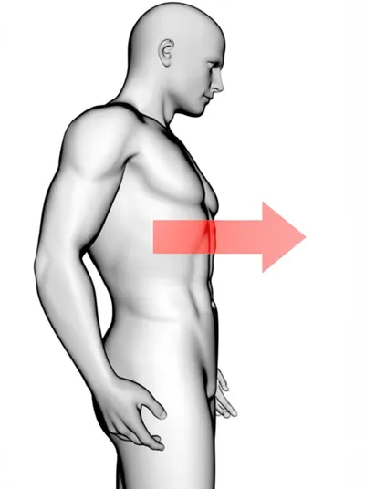 Illustration sagittal - Image 1