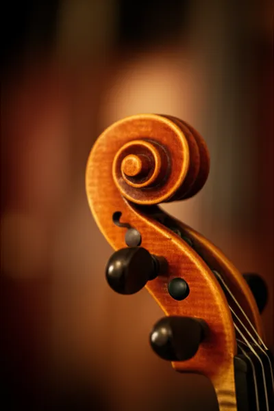 Illustration volute - Image 1