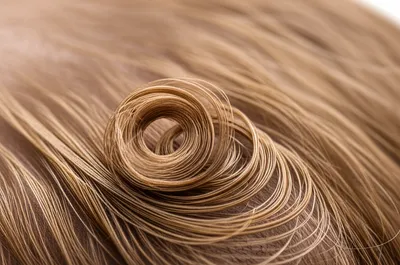 Illustration curl - Image 1