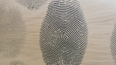 Hình ảnh minh họa fingerprint - Ảnh 1