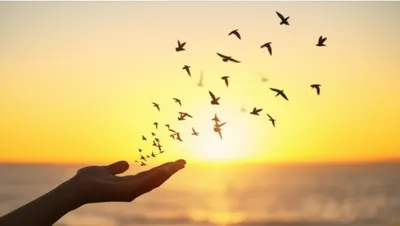 Illustration sending - Image 1