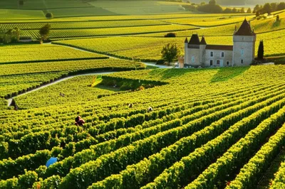 Illustration domaine