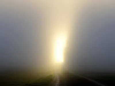 Illustration cleared - Image 1