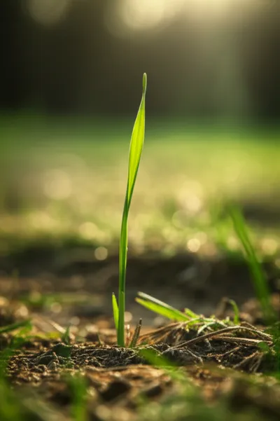 Illustration spear - Image 1