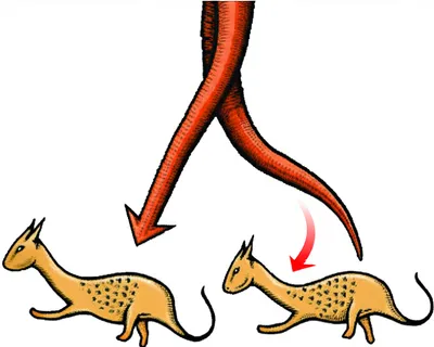 Illustration variation - Image 1