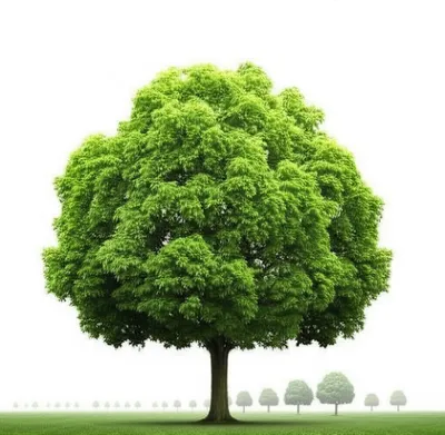 Illustration diminishing