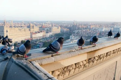 「possessions」の視覚的なイラスト - 所有物, 持ち物