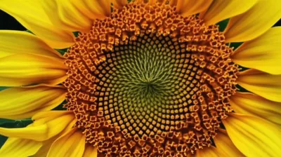 Illustration torus - Image 1