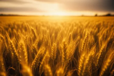 Illustration breadth - Image 1