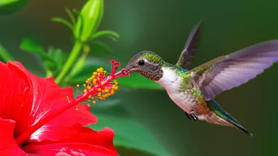 Illustration alighted - Image 1