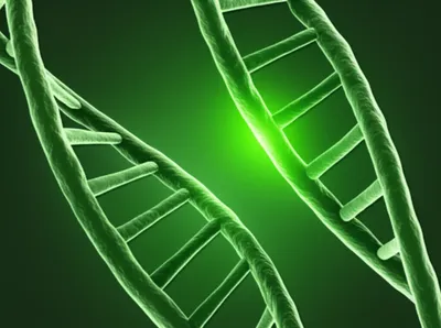 Illustration discordant - Image 1