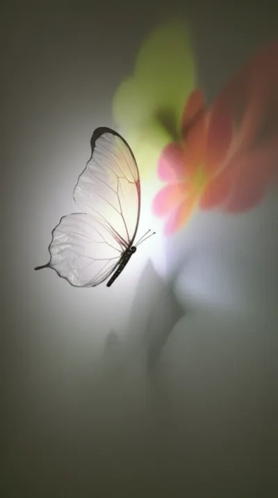 Illustration holographic