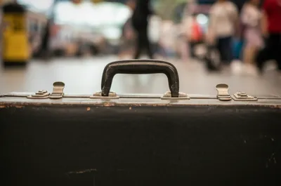 Illustration lug - Image 1