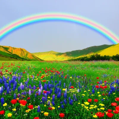 Illustration spankers - Image 1