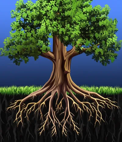 Illustration sapped - Image 1