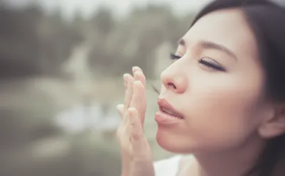 Illustration sniffed - Image 1