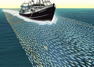 Illustration trawling - Image 1