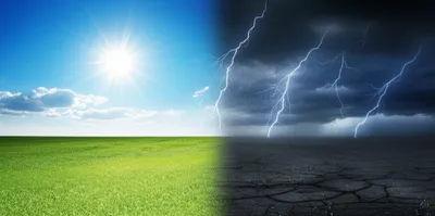 Illustration contraries - Image 1