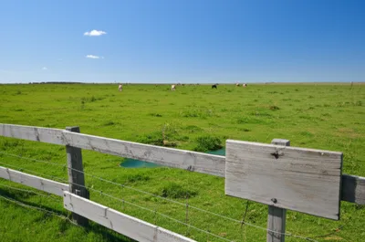 Illustration lease - Image 1