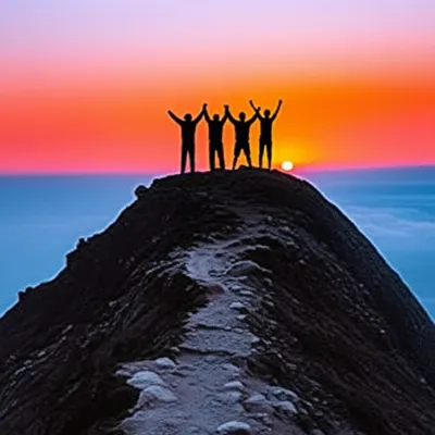 Illustration successes