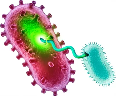 Illustration transformation - Image 1