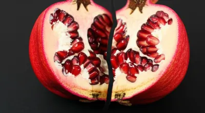 Illustration cut - Image 1