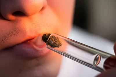 Hình ảnh minh họa rip - Ảnh 1