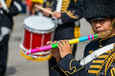 Illustration fife - Image 1