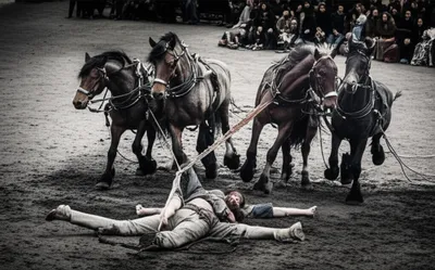 Illustration quarterings - Image 1