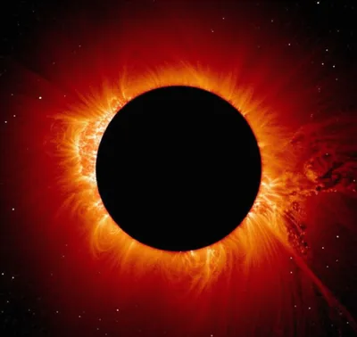 Illustration totality - Image 1