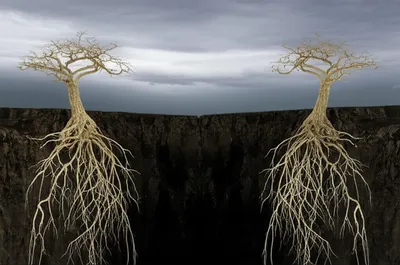 Illustration parted - Image 1