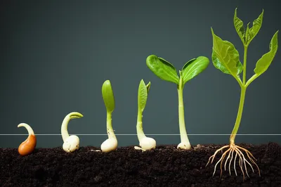 Illustration happened