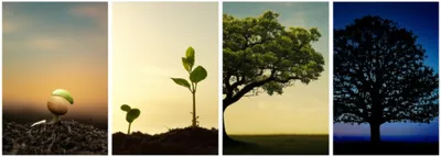 Illustration occurrence - Image 1