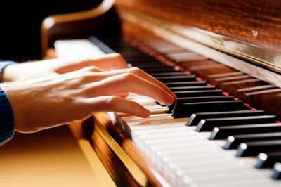 Illustration natural - Image 1