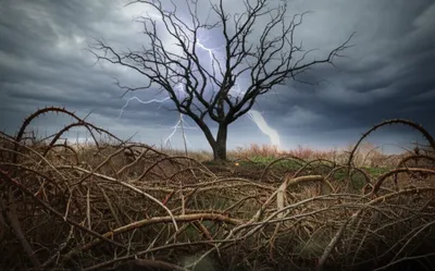 Illustration cursing - Image 1