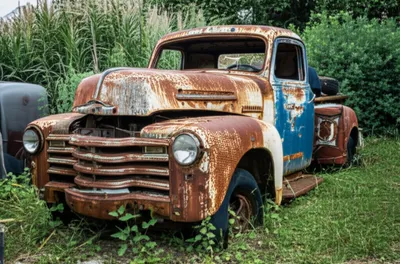 Illustration bucket - Image 1